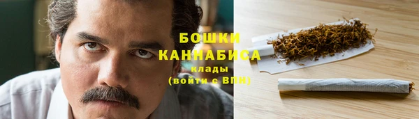 тгк Гусь-Хрустальный