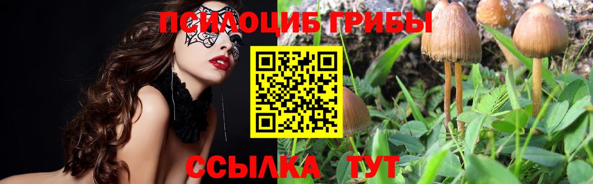 Галлюциногенные грибы ЛСД  Галлюциногенные грибы MAGIC MUSHROOMS  сколько стоит  Вход с VPN  Тосно 
